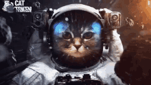 Cat Cat Token GIF - Cat Cat Token Astronaut GIFs