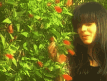 mara maravilha beautiful pretty smell flowers