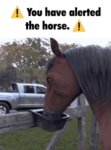 horse you