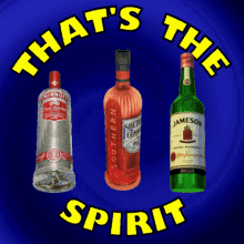 Thats The Spirit Cheers GIF - Thats The Spirit Cheers Spirits GIFs