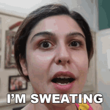Im Sweating Scherezade Shroff GIF - Im Sweating Scherezade Shroff Perspire GIFs
