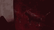 Cave Drawings GIF - Cave Drawings GIFs