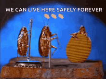 Bugs Insects GIF - Bugs Bug Insects GIFs