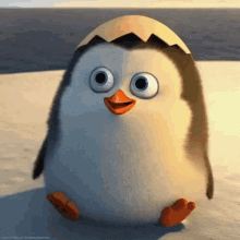 hello penguin hi