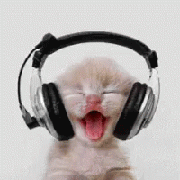 white cat listening to music meme