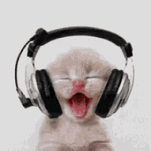 Listening Music GIFs | Tenor