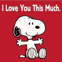 I Love You Love You Lots GIF - I Love You Love You Lots Snoopy GIFs