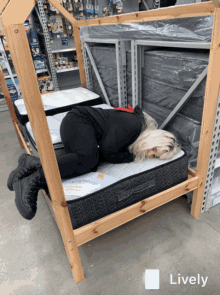 Bunk Bed GIFs | Tenor