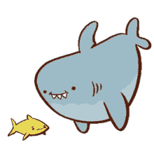 love fish shark
