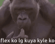Monkey Flex GIF - Monkey Flex Kuya Kyle GIFs
