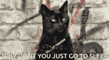 Why Dont You Just Go To Sleep Sassy GIF - Why Dont You Just Go To Sleep Sassy Cat GIFs