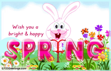 Happy Spring Bunny GIF - Happy Spring Spring Bunny GIFs