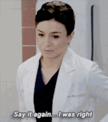 Greys Anatomy Amelia Shepherd GIF - Greys Anatomy Amelia Shepherd Say It Again GIFs