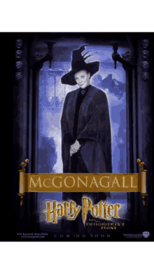 Movies Harry Potter GIF - Movies Harry Potter Mc Gonagall GIFs