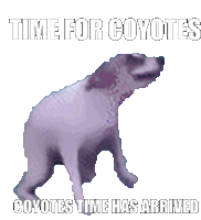 Arizona Coyotes Nhl Sticker - Arizona Coyotes Coyotes Yotes Stickers