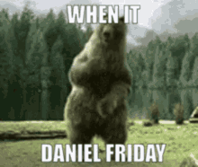 daniel daniel friday daniel friday bear friday