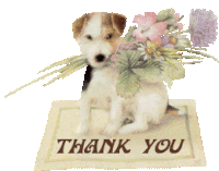 Thank You Dog Puppy Sticker - Thank You Dog Puppy Spring Stickers