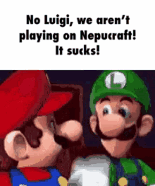 Nepucraft Mario GIF - Nepucraft Mario Luigi GIFs