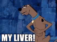 scooby doo my liver sick ow scooby doo my liver sick ow