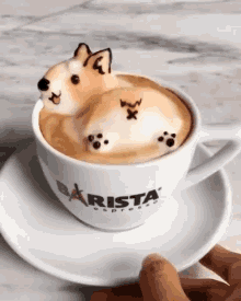 cute dog coffee