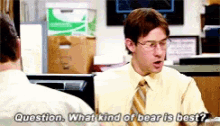 The Office Bear GIF - The Office Bear Bears GIFs