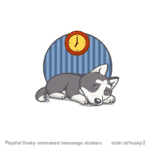 Husky Waiting GIF - Husky Waiting Bored GIFs