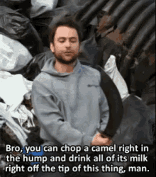 Its Always Sunny Charlie GIF - Its Always Sunny Charlie Camel GIFs