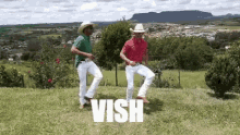 Vish GIF - Vish GIFs