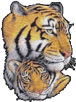 Tigers Glittery Sticker - Tigers Glittery Glitter Tigers Stickers