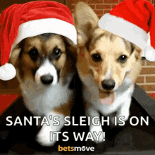 Dog Noel GIF - Dog Noel Merry Christmas GIFs