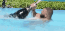Dj Khaled GIF - Birthday Champagne Pool GIFs