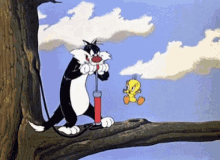 Looney Toons Sylvester Tweety GIF - Looney Toons Sylvester Tweety Tweets GIFs