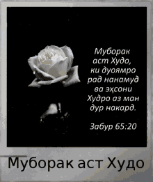 %D1%85%D1%83%D0%B4%D0%BE %D0%BC%D1%83%D0%B1%D0%BE%D1%80%D0%B0%D0%BA