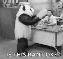 Angry Panda GIF - Angry Panda Mascot GIFs