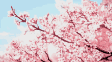 Cherry Blossom Anime GIF - Cherry Blossom Anime Tree GIFs