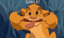 Smile Funny Face GIF - Smile Funny Face Simba GIFs
