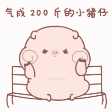 tkthao219 piggy piyo tkthao219 piggy piyo