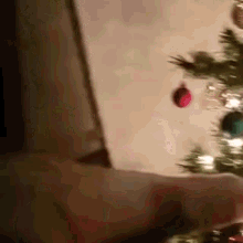 ferret tree christmas christmas tree holiday