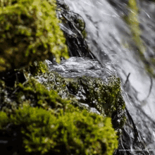 Flowing Water GIF - Flowing Water River GIFs