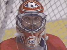 Montreal Canadiens Patrick Roy GIF - Montreal Canadiens Patrick Roy Wink GIFs