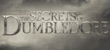 Secrets Of Dumbledore GIF - Secrets Of Dumbledore GIFs
