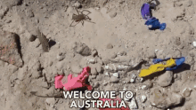 Welcome To Australia Spider GIF - Welcome To Australia Spider Tarantula GIFs