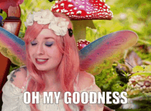 meadow fox twitch twitch streamer oh my goodness fairy meadow fox twitch twitch streamer oh my goodness fairy