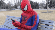 busy typing spider man messaging someone