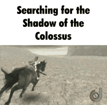 shadow of the colossus bvb