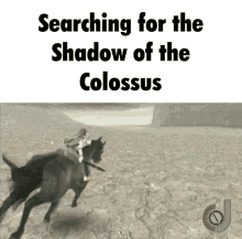 shadow of the colossus bvb shadow of the colossus bvb