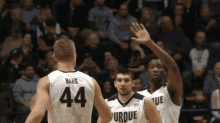 Purdue High Five GIF - Purdue High Five Basketball GIFs