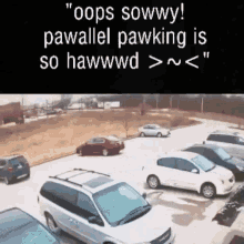 Pawalell Pawking GIF - Pawalell Pawking Oops GIFs