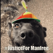 Justice For Manfree GIF - Justice For Manfree GIFs