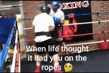 When Life Thought Boxing GIF - When Life Thought Boxing GIFs